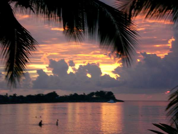 Giamaica: tramonto tra le palme