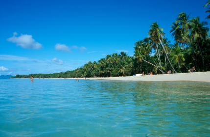 Martinica: spiaggia orlata di palme