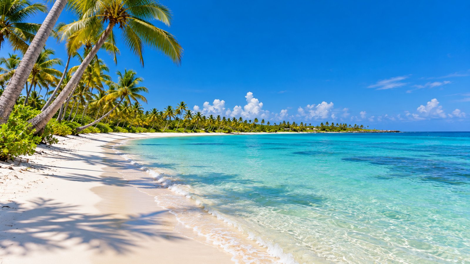 La spiaggia di Juanillo a Cap Cana con le palme da cocco e l'acqua turchese e calma