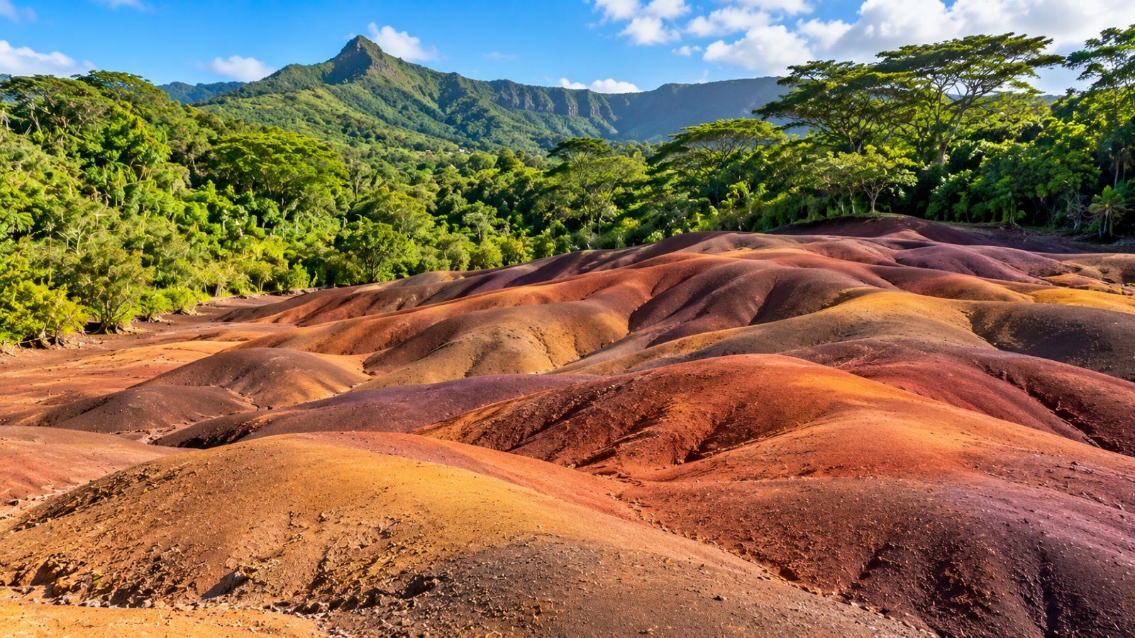 Le Terre dei Sette Colori di Chamarel, piccole dune ondulate di terra vulcanica rossa, viola e ocra circondate dalla foresta