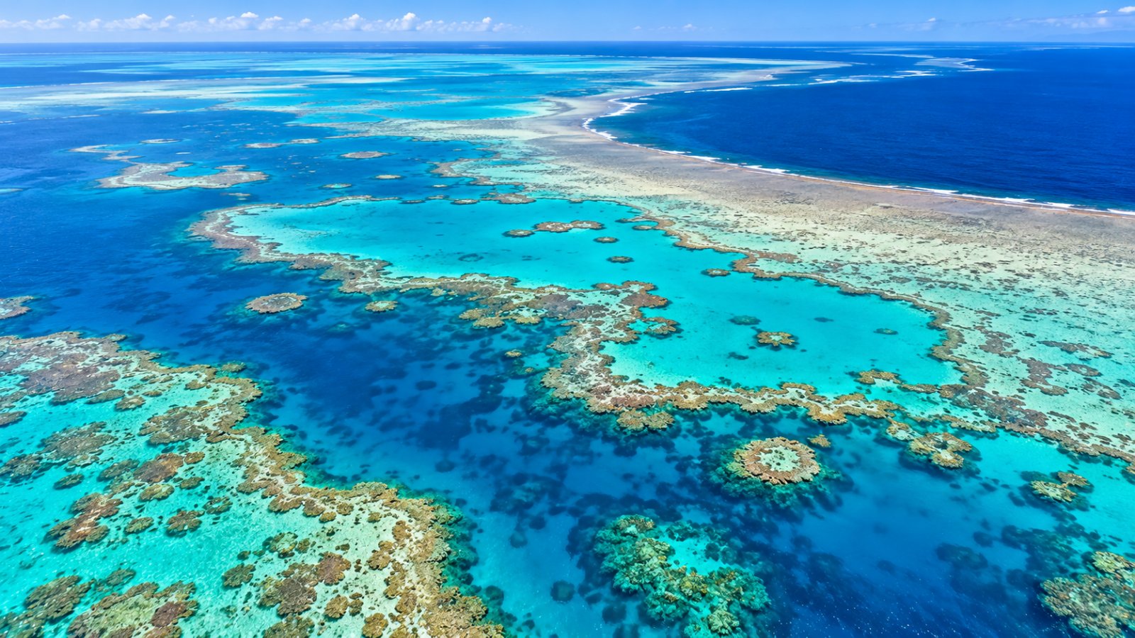 Veduta aerea di un reef della Grande Barriera Corallina, con le macchie di corallo che affiorano nell'acqua turchese e blu intenso del Mar dei Coralli