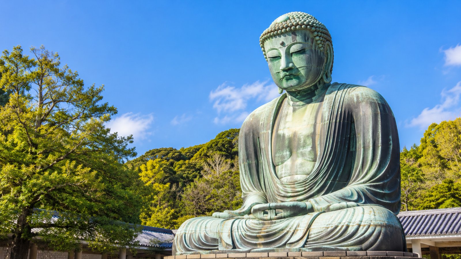 Il Grande Buddha di bronzo di Kamakura, nel tempio Kotoku-in, tra gli alberi verdi sotto il cielo azzurro