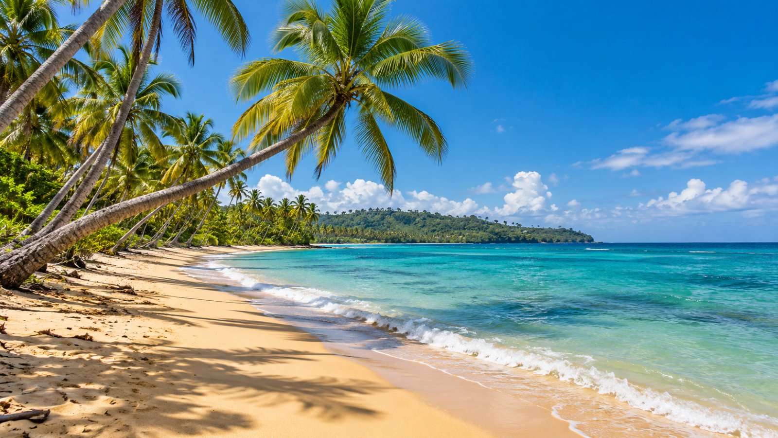 Una spiaggia di Las Terrenas con le palme inclinate sulla sabbia dorata e il mare turchese