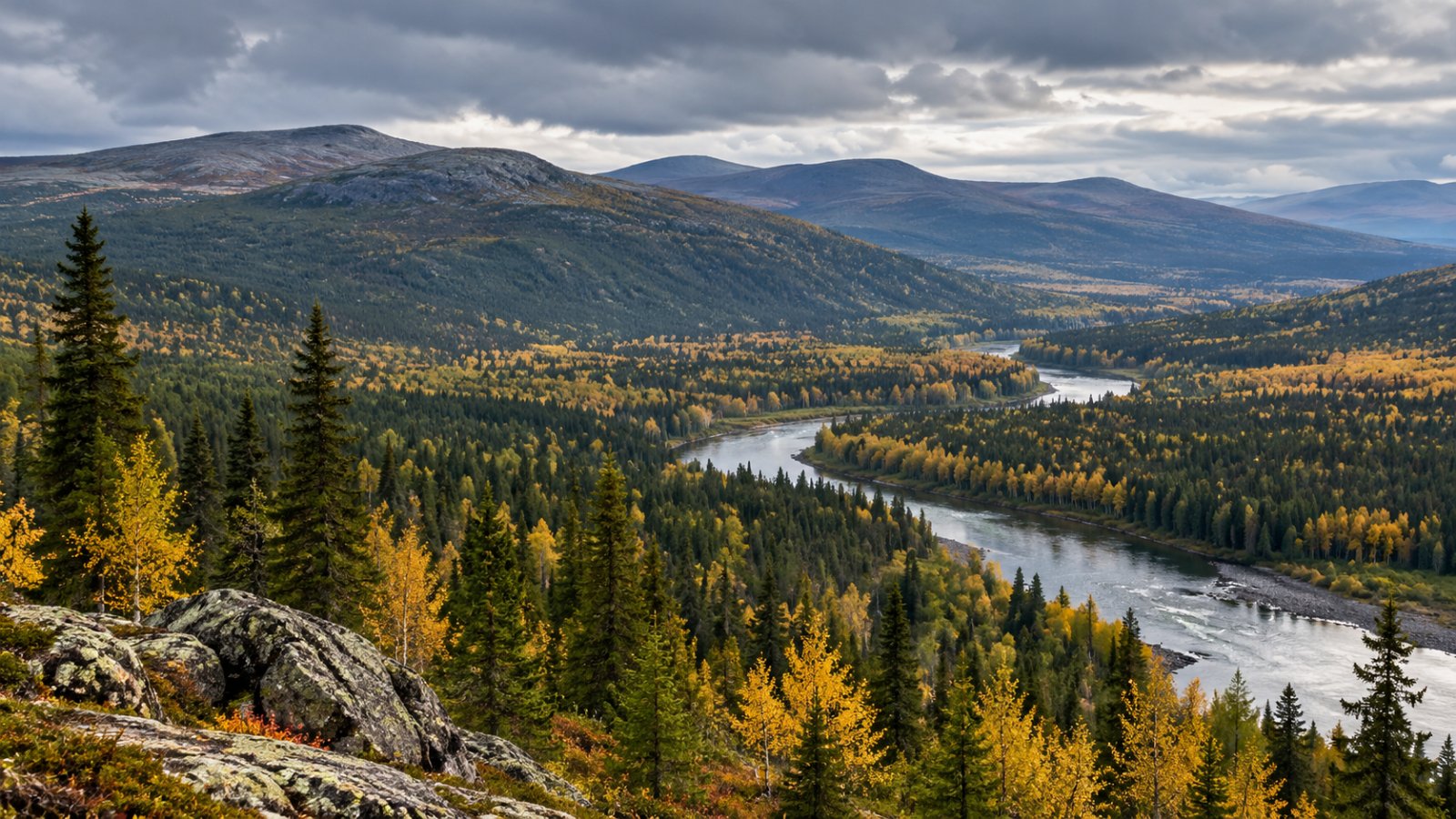 Una lunga cresta di montagne basse e arrotondate coperte di taiga di conifere, con un fiume che scorre in una valle, sotto un cielo grigio d'autunno negli Urali