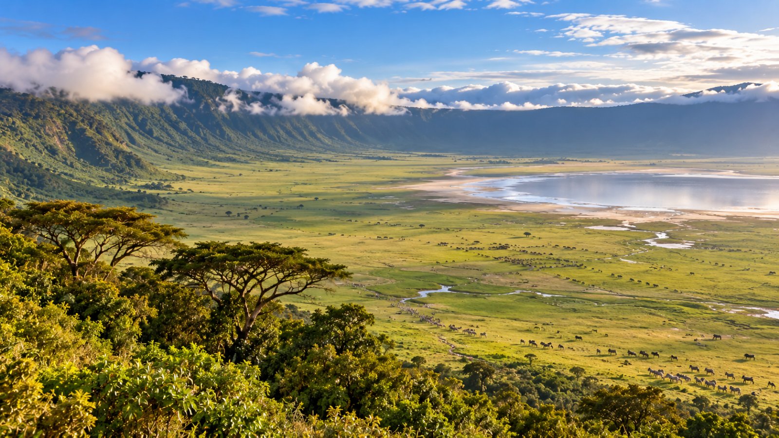 Il cratere del Ngorongoro visto dal bordo, con la pianura verde, il lago salato e le nuvole basse sulle pareti