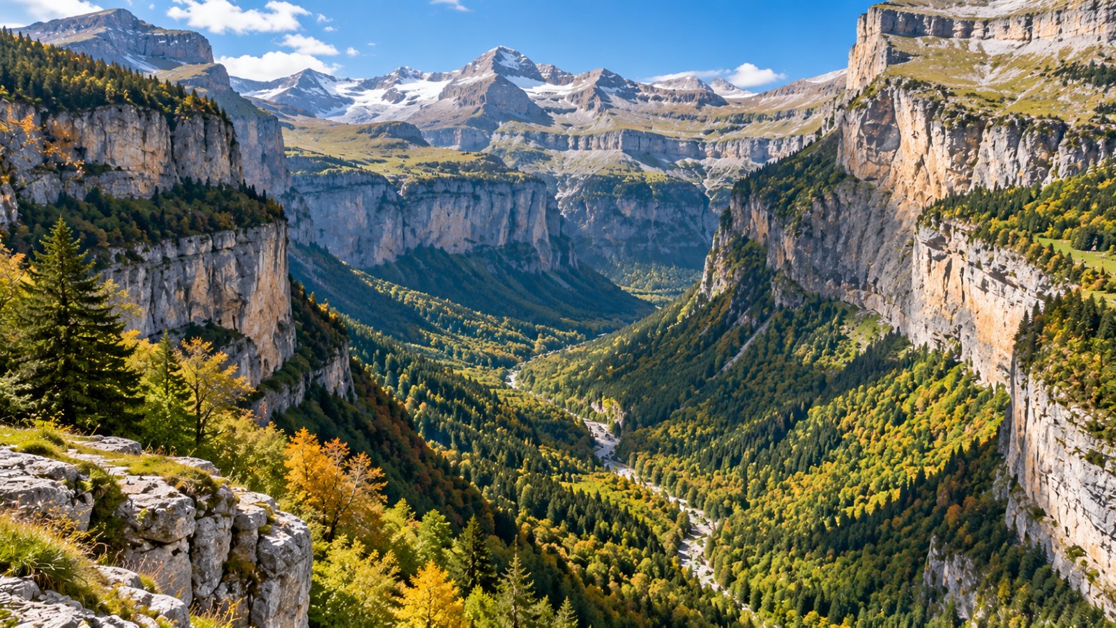 Un canyon profondo con alte pareti calcaree a strati e un bosco di faggi e pini in fondo alla valle