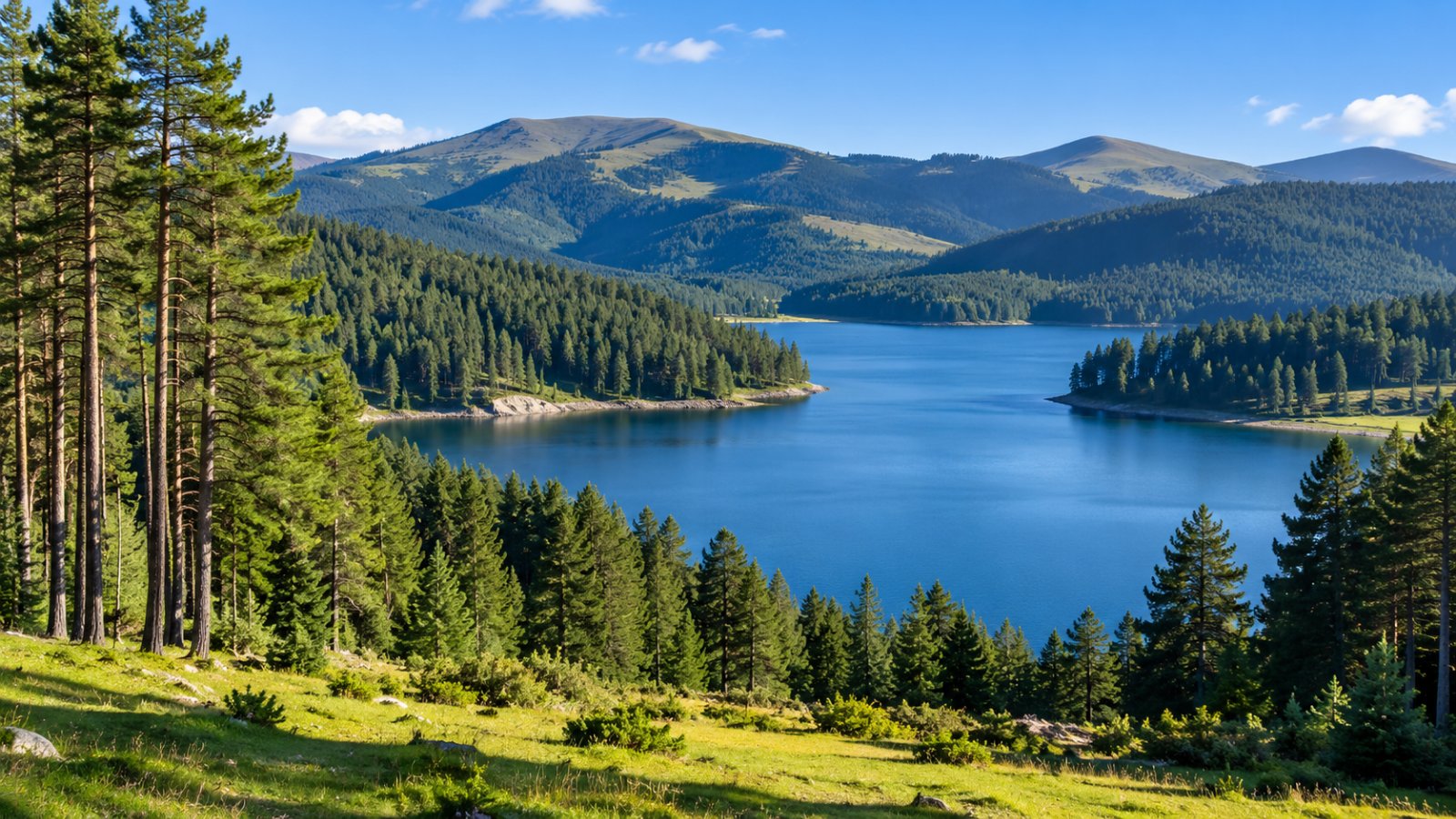 Un grande lago azzurro della Sila circondato da boschi di pini larici, prati e montagne dolci nella luce del mattino
