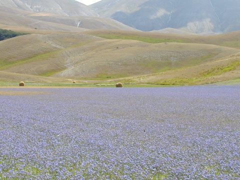 Castelluccio, momenti di pura contemplazione