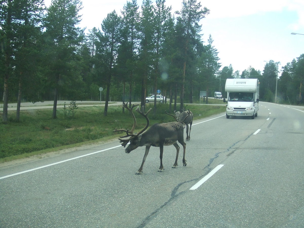 Un meraviglioso Viaggio in camper Messina Nordkapp