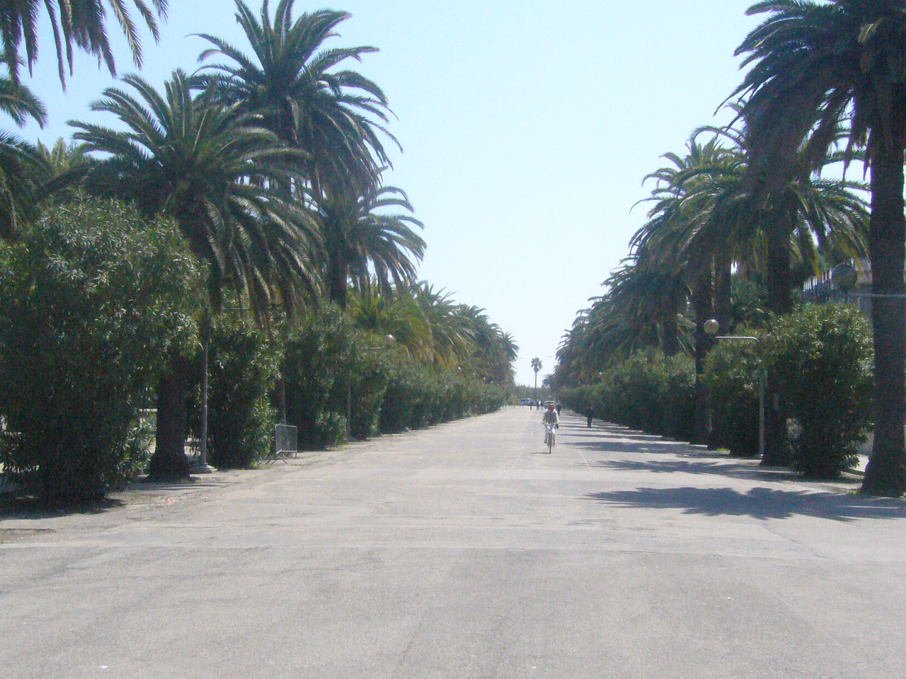 vacanze nella Riviera delle Palme