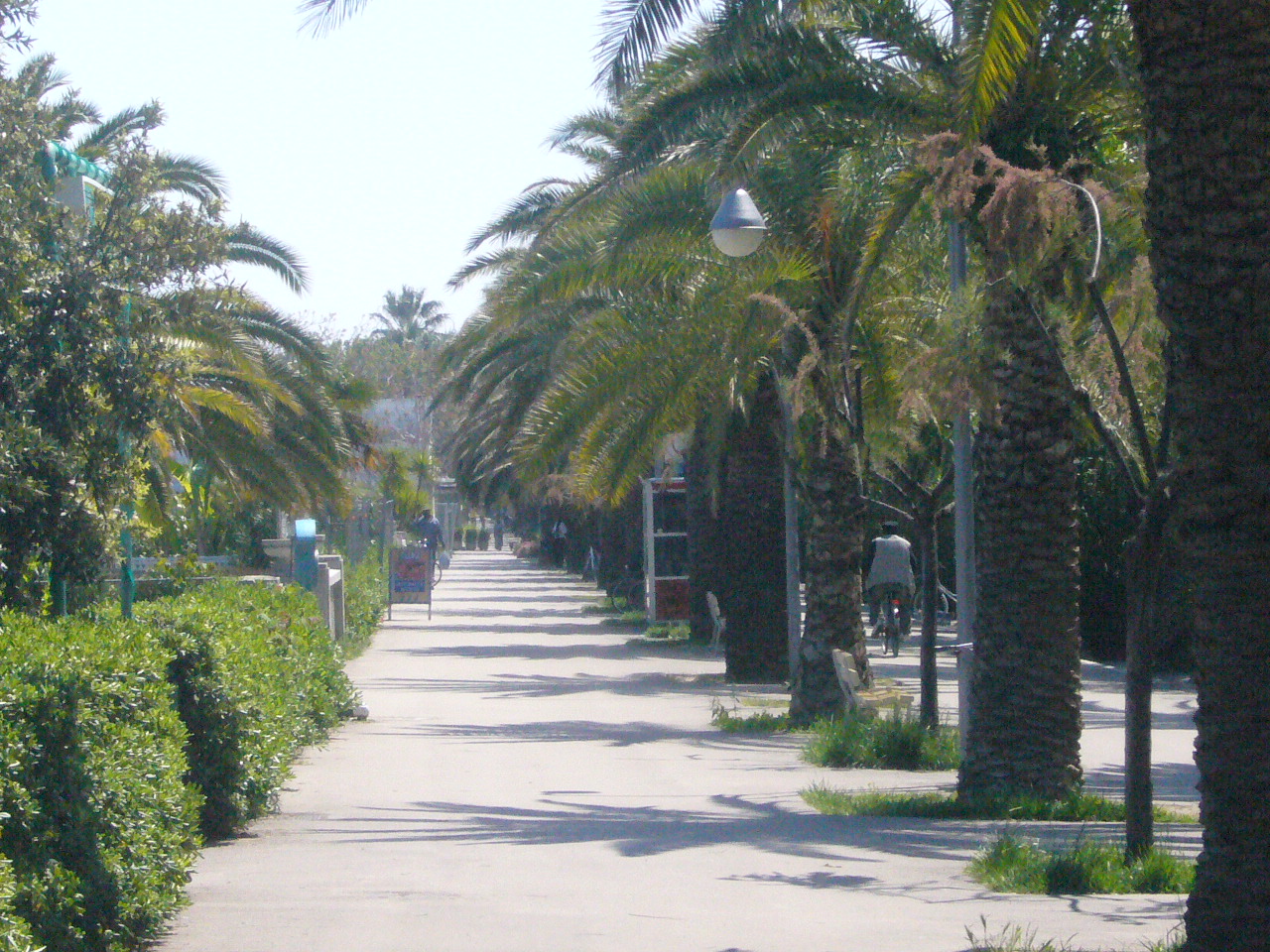 vacanze nella Riviera delle Palme