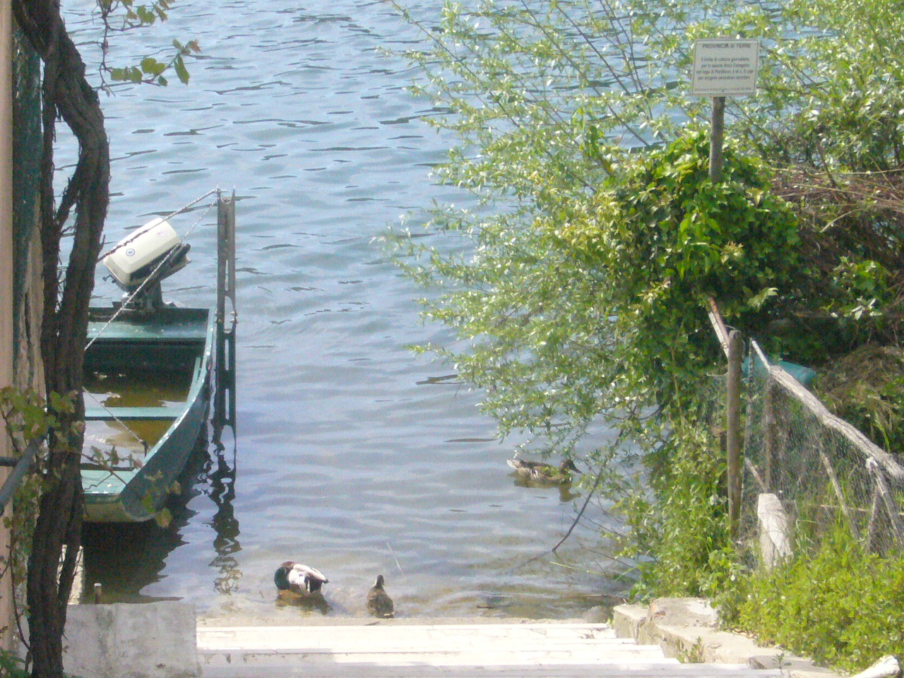 Lago di Piediluco, una distesa di serenità