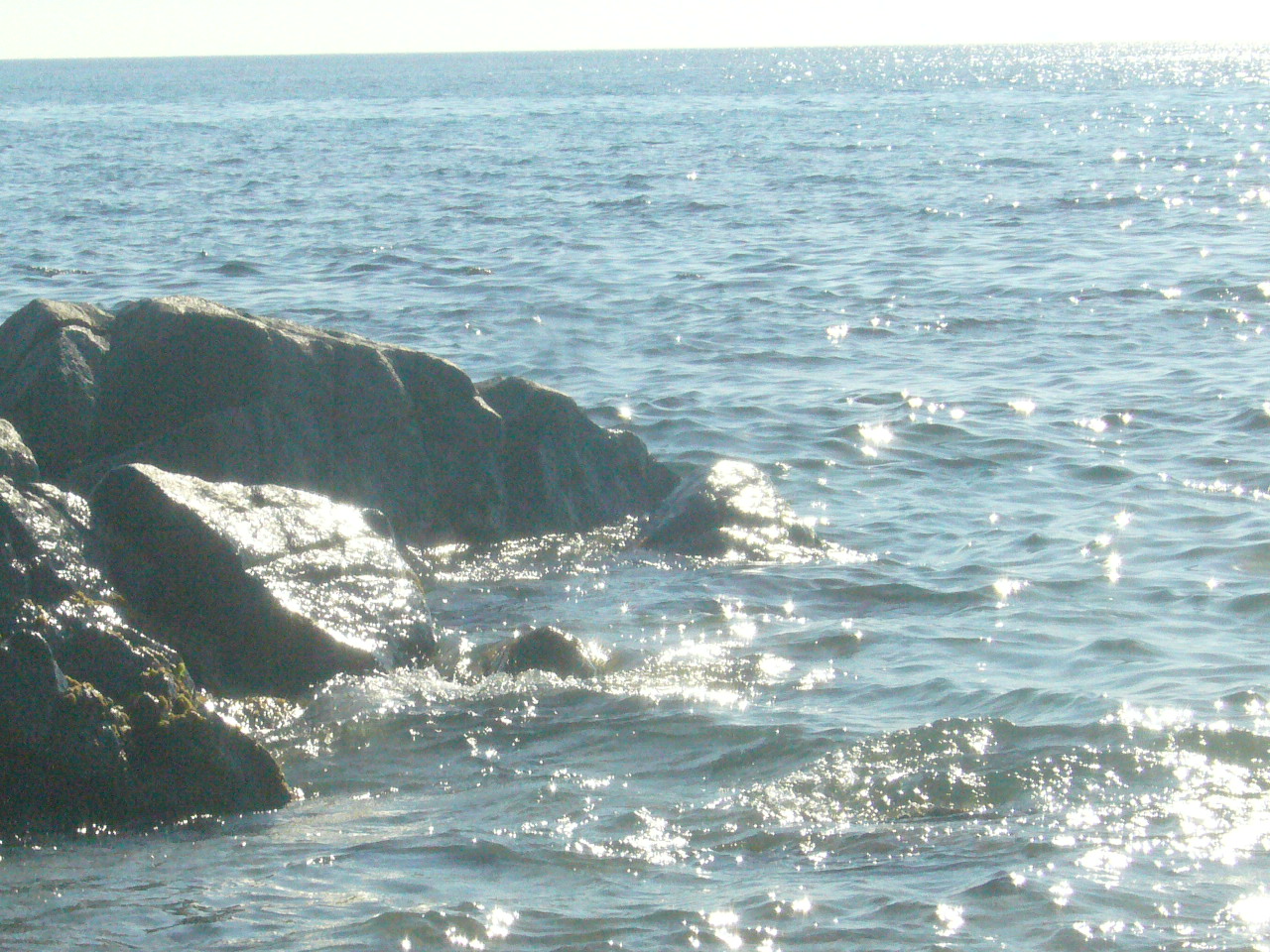 Sole che scintilla nelle acque trasparenti di Tropea