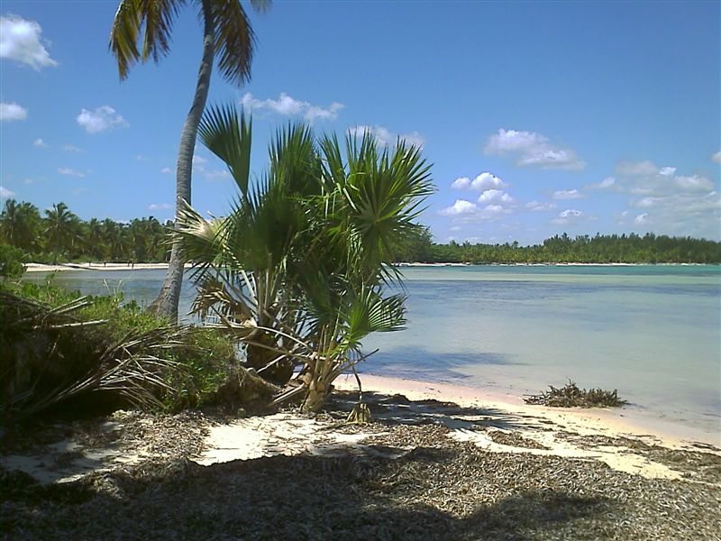Punta Cana, costa caraibica