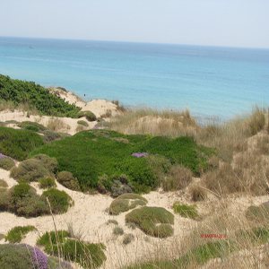 campomarino mare sette colori